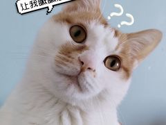 -巴黎贝甜(南京万达店)