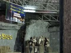 -清迈夜间动物园