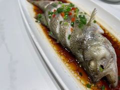 -阿毛饭店·宁波老字号(儿童公园旗舰店)