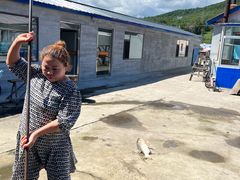 -庆岭迎宾园正宗活鱼馆