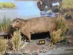 -陕西自然博物馆