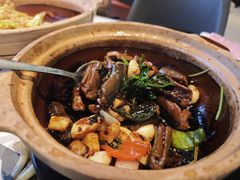 -新兴·金羊座·粤菜点心(乐峰店)