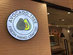 -油梨树 AVOCADO TREE(亮马桥店)