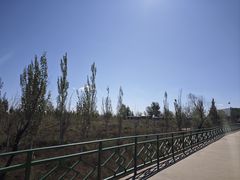 -银肯塔拉沙漠生态旅游景区