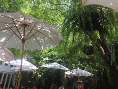 -Fern Forest Cafe