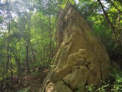 -大岭沟猕猴桃谷风景区