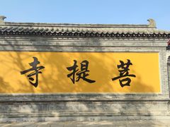 -台儿庄古城