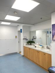 -温州伯思立医院