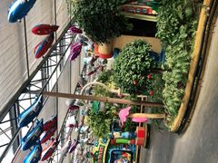 -南宫五洲植物乐园