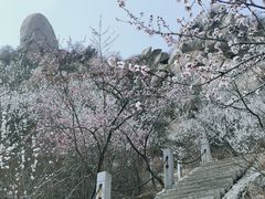 -北京凤凰岭
