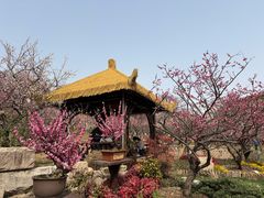 -无锡梅园公园