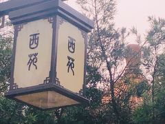 -西苑公园