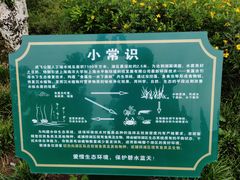 -成飞公园