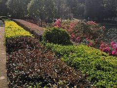 -深圳龙潭公园