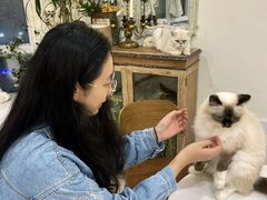 -共舞时光猫咖·狗咖(新街口店)