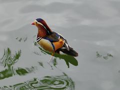 -北海公园