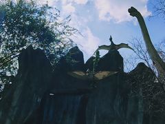 -昆明动物园