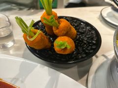 -丁老爷子苏香圆