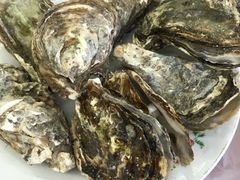 -渔民船说·北塘海鲜·天津菜·海肠捞饭(北塘古镇店)