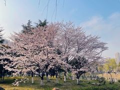 -堤角公园