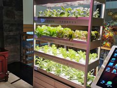 自助取餐区-捞天下大众火锅(水上公园店)