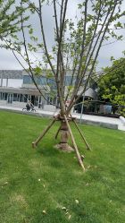 -BabyA 专业婴童摄影(古北时尚广场店)