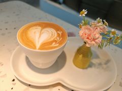 -Tomacado花厨(One ITC店)