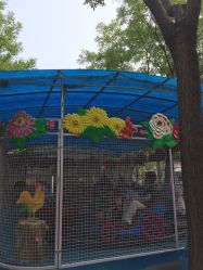 -大望京儿童游乐场