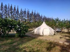 -前小桔亲子创意农场·草莓采摘·露营烧烤