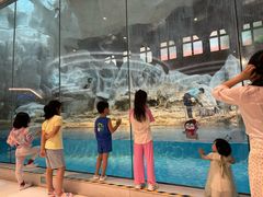 -帝企鹅自助餐厅•儿童岛•真企鹅(长隆企鹅酒店)