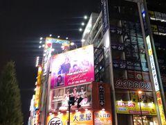 -秋叶原电器街