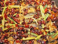 -老板恋上鱼(恒隆广场店)