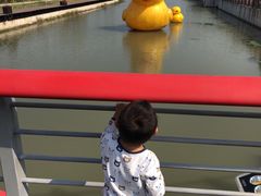 -菊园百果园