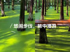 -艾溪湖湿地公园