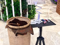 -鹊茶咖啡•新中式(深圳首店)