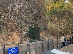 -福道