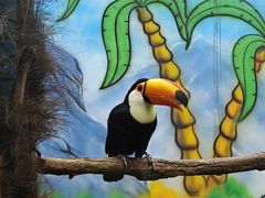 -杭州野生动物世界