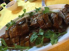 -鸽王世家(东华东路店)