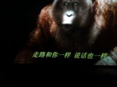 -万达影城(潍坊万达广场IMAX店)