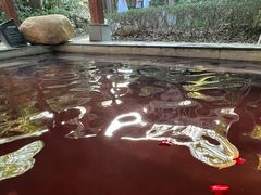 -天目湖御水温泉·度假酒店