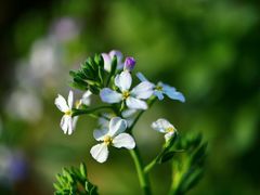 -昆山城市生态森林公园