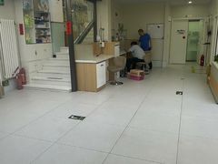 -达爱动物医院·犬猫分区·CT·复杂眼科(远洋山水分院)