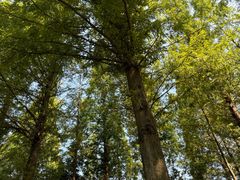 -宜兴龙背山森林公园