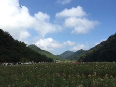 -广州市石门国家森林公园