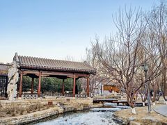 -三里河公园