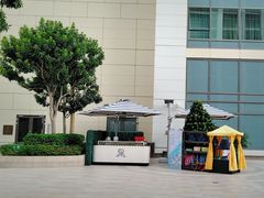 -澳门瑞吉酒店室外泳池