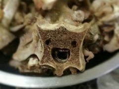 -城一锅涮烤羊蝎子·烤串