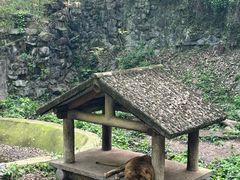 -杭州动物园