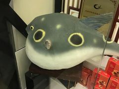 -肆月河豚·新淮扬(金融街店)