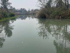 -桤木河湿地公园